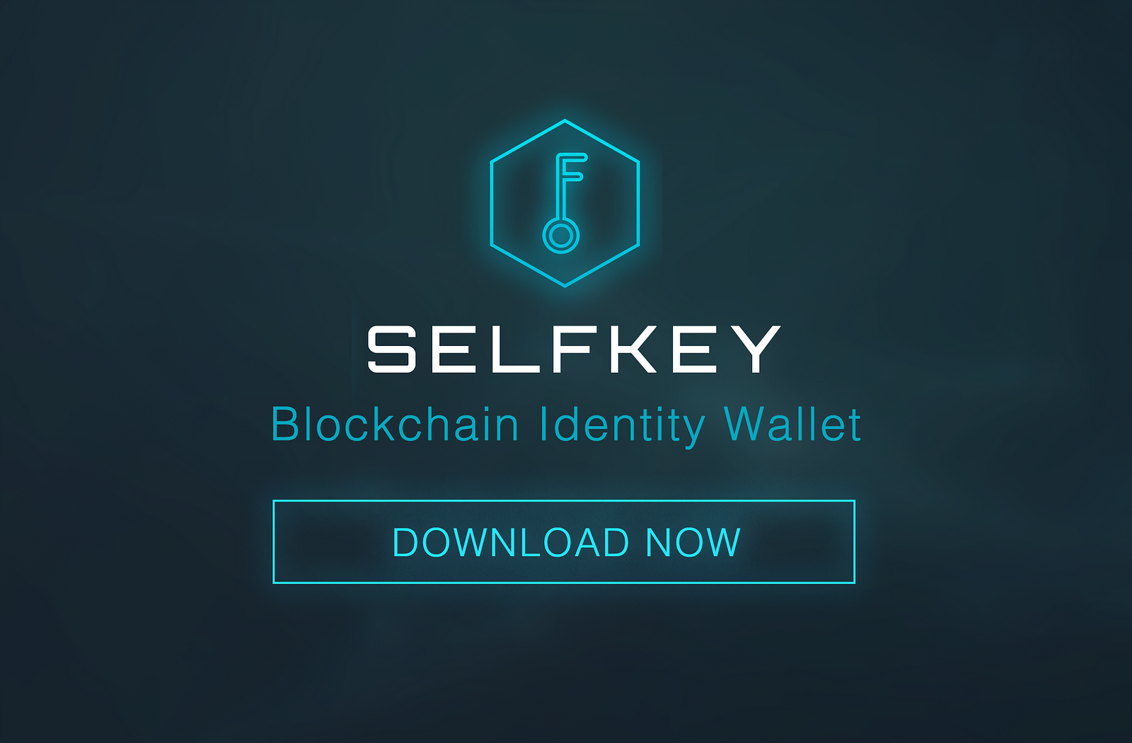 Download Blockchain Wallet For Mac