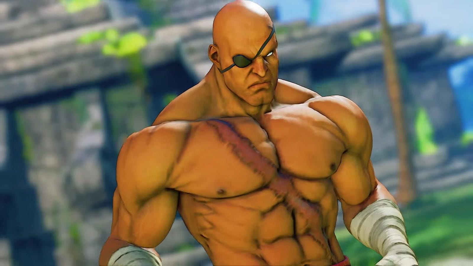 street fighter 5 sagat