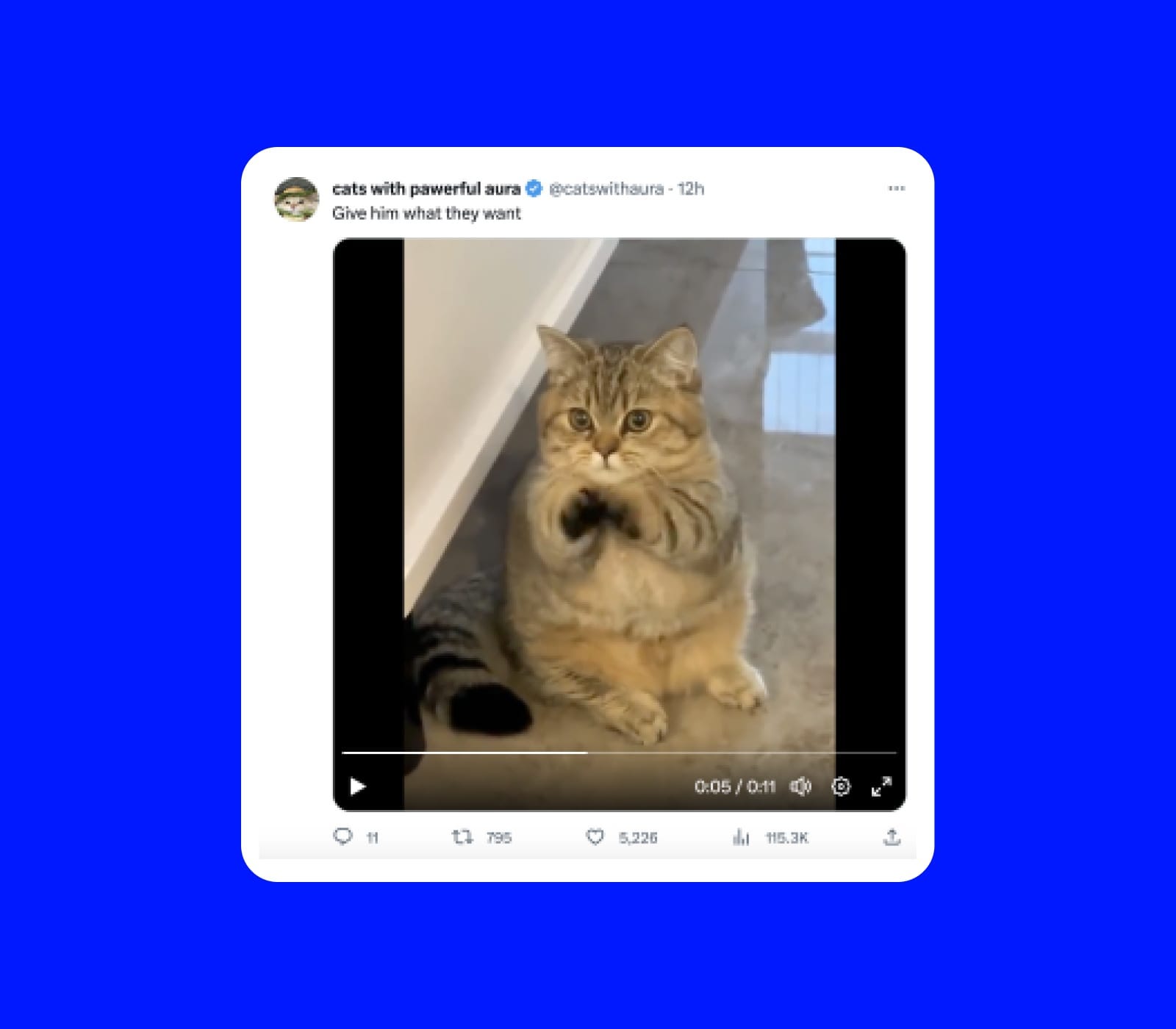 Graphic of cat video in a card from Twitter