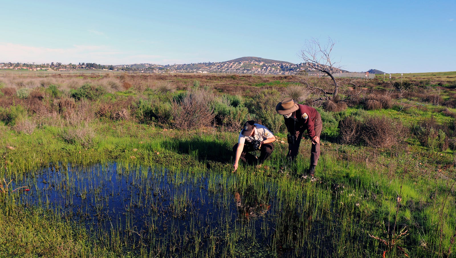 celebrating-the-urban-wildlife-conservation-program