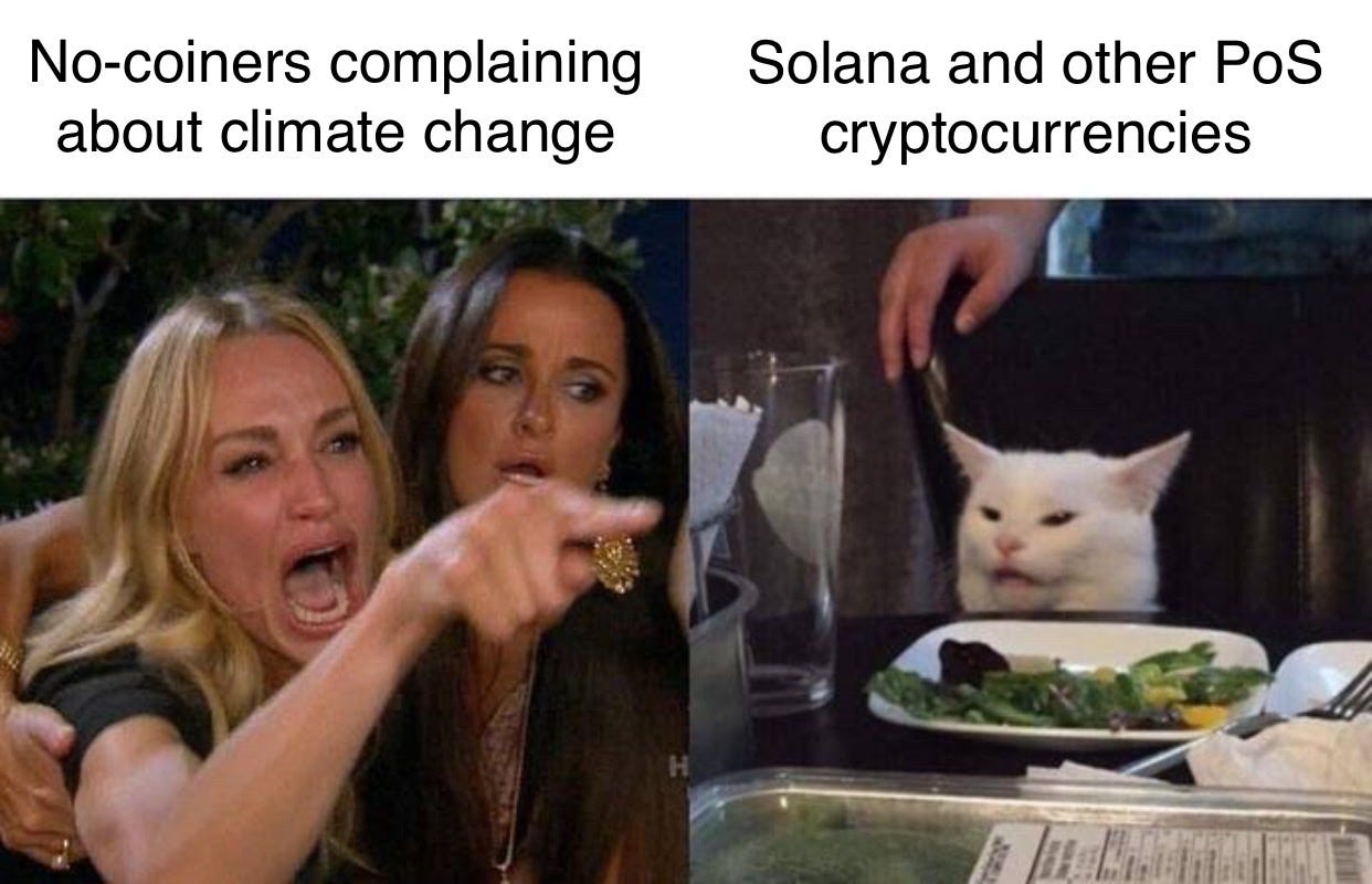 Environmentally friendly cryptocurrencies getting yelled at by nocoiners (context: woman screaming at cat meme)
