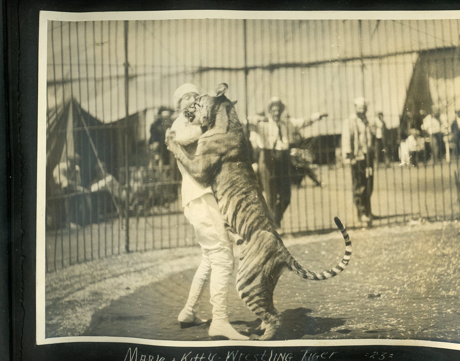 Women You Should Know — The World’s First Female Tiger Trainer, Mabel Stark