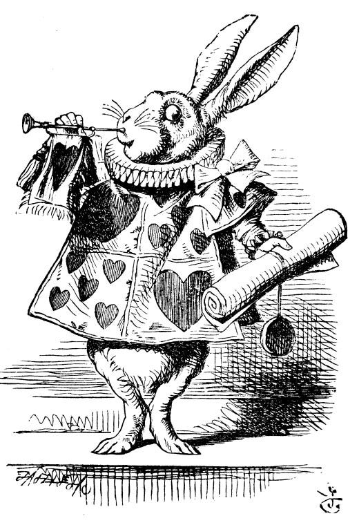 Image result for alice in wonderland illustrations