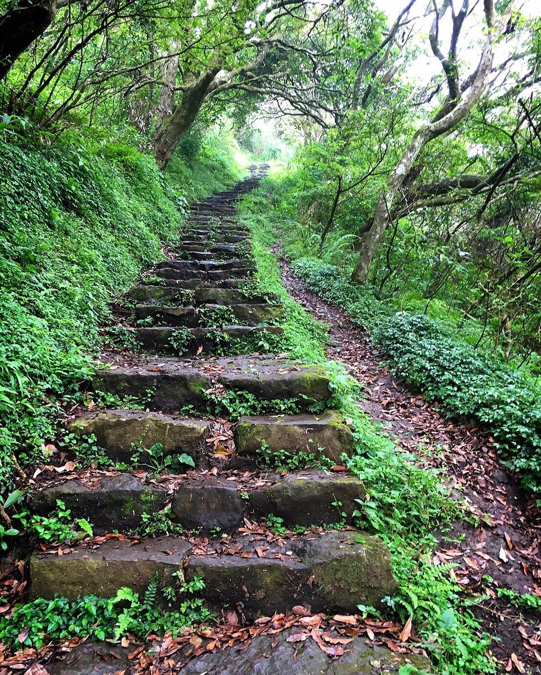 The Best Day Hike: Yangmingshan National Park, Erziping Trail