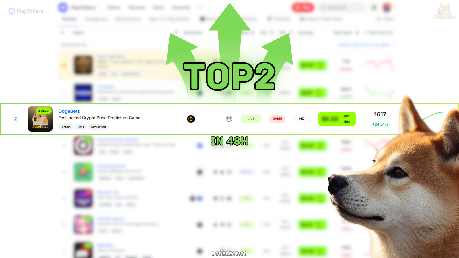 This Wasn’t Supposed to Happen: How DogeBets Reached Top 2 in 48 Hours