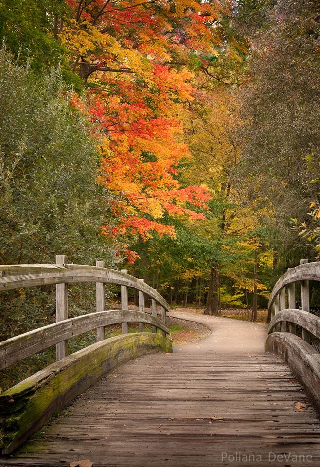 An Autumn Pictorial… NJ Paths, Trails and Walkways – NowJersey Digital ...