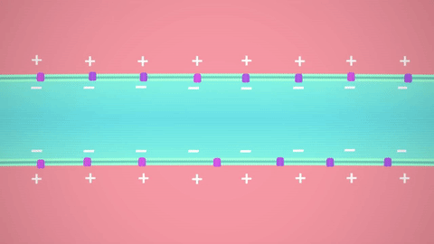Post 2 in the Crash Course series on how the nervous system works
