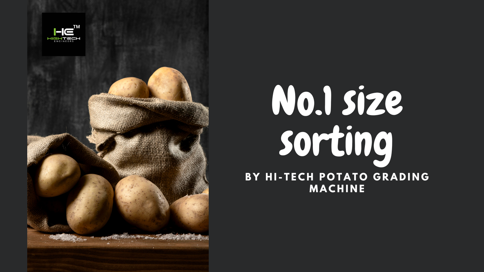 best potato grading machines in ambala india