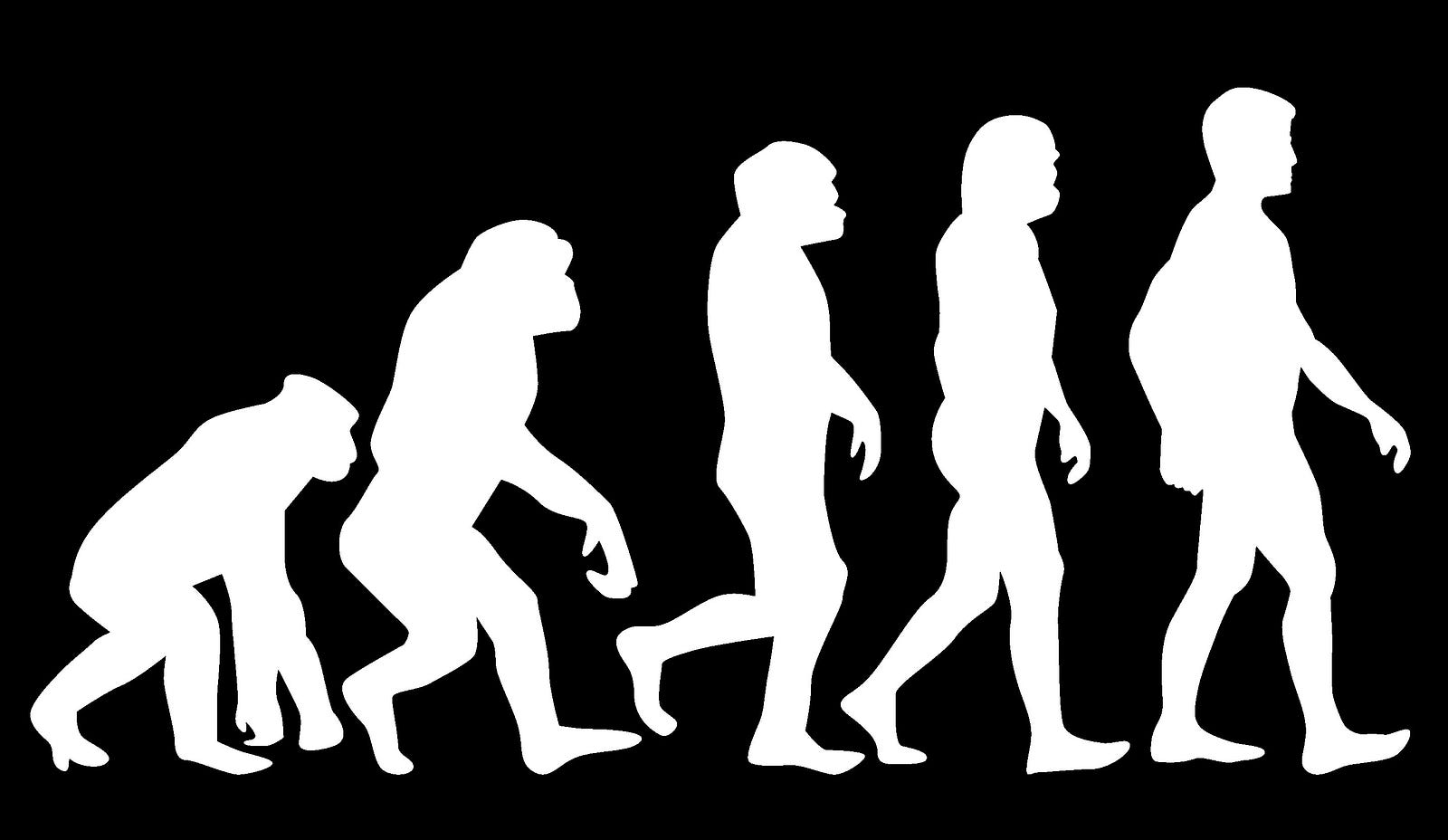 are-humans-the-most-evolved-species-philipkd