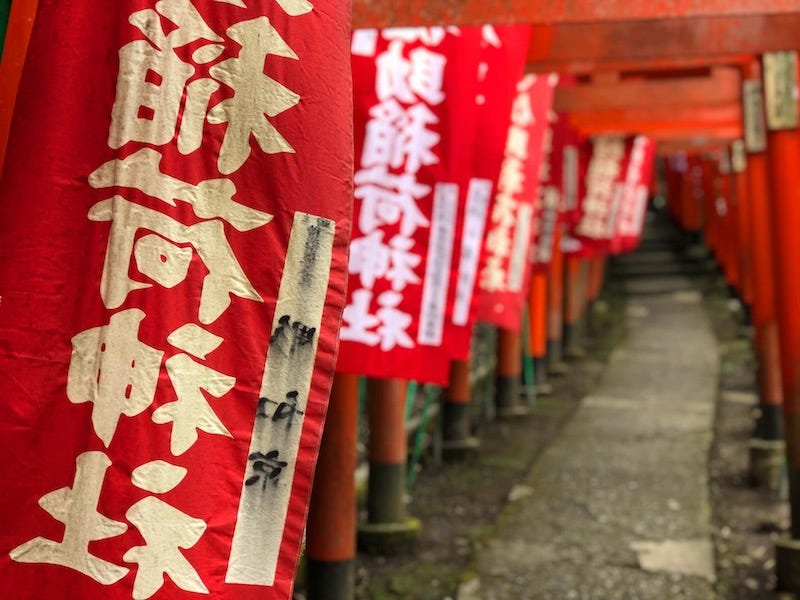 A series of torii gates at Kamakura’s Sasuke Inari Shrine in Kanagawa Prefecture