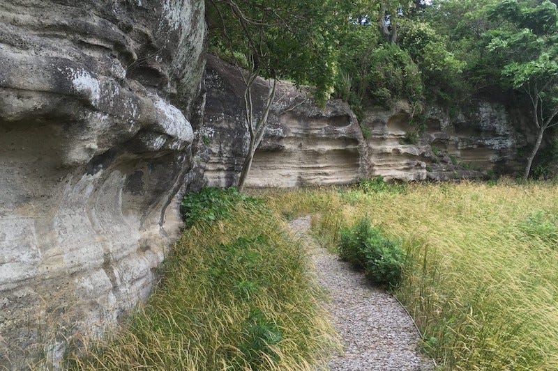 The hiking trail that leads away from the Mandarado Yagura tombs in Kamakura