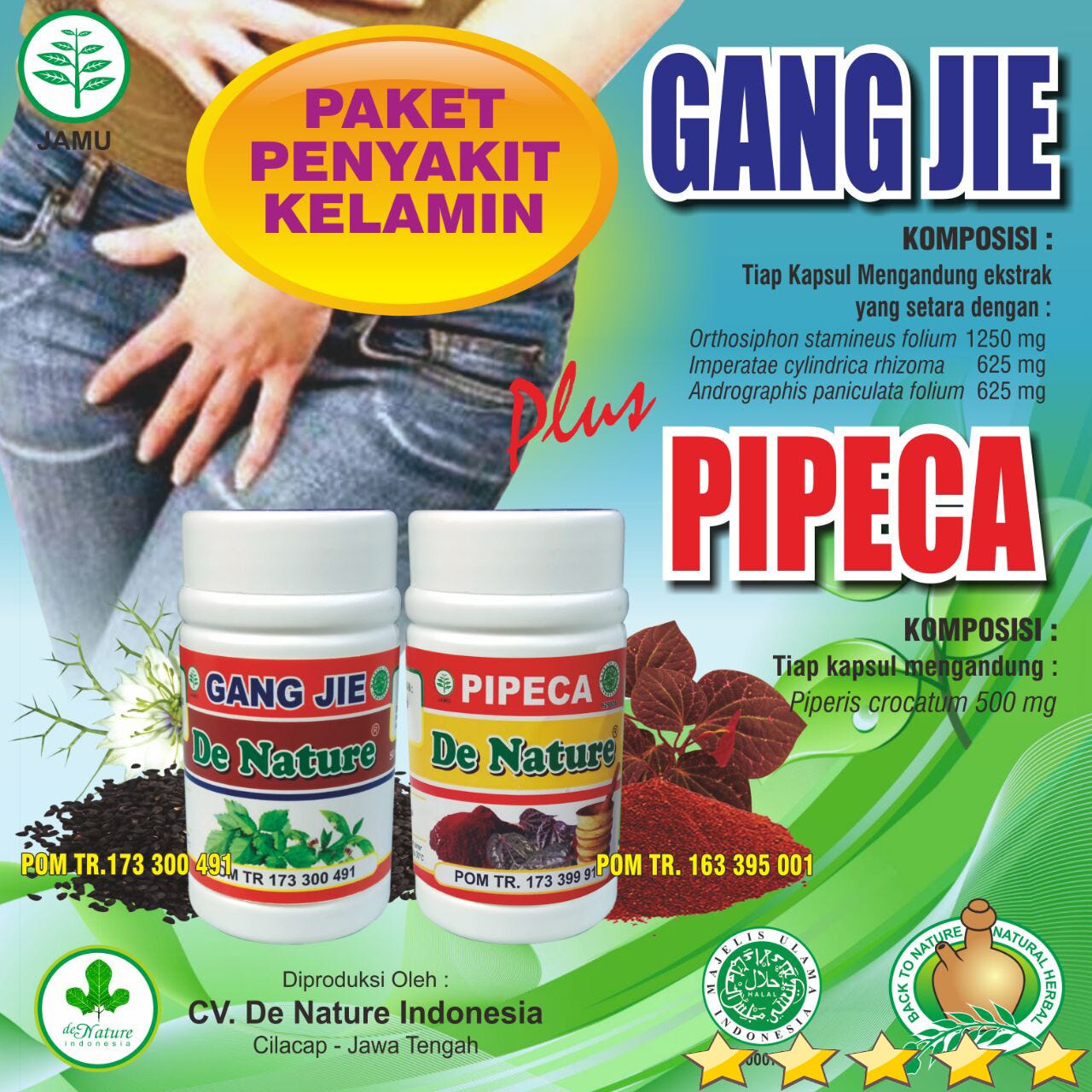 Toko Obat Herbal De Nature Di Yogyakarta - Jurnal Sipilis