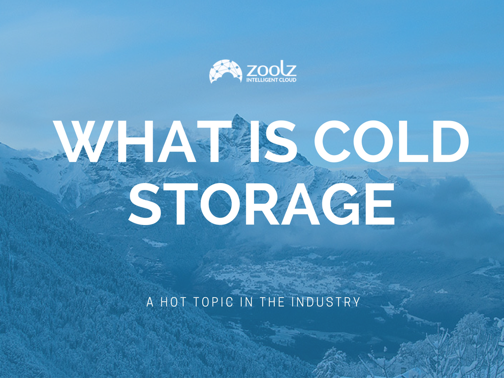 what-is-cold-storage-zoolz-medium