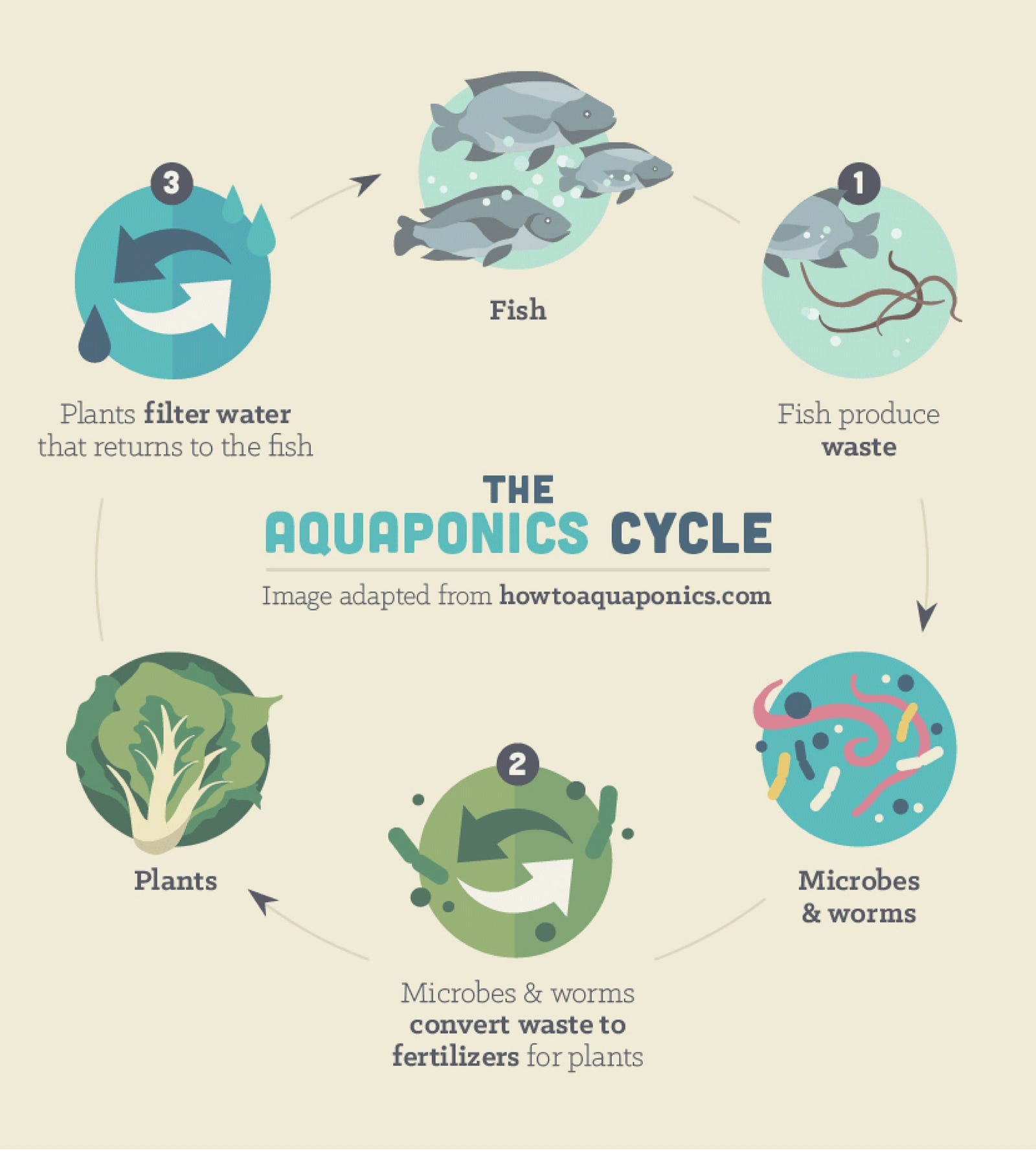 aquaponics quora - aquaponic