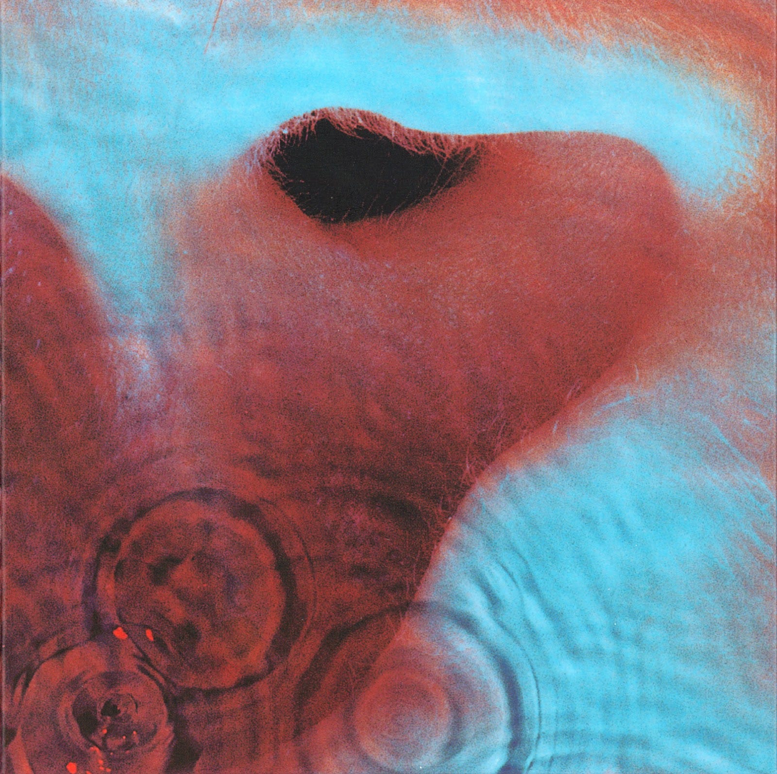 Resultado de imagem para pink floyd meddle