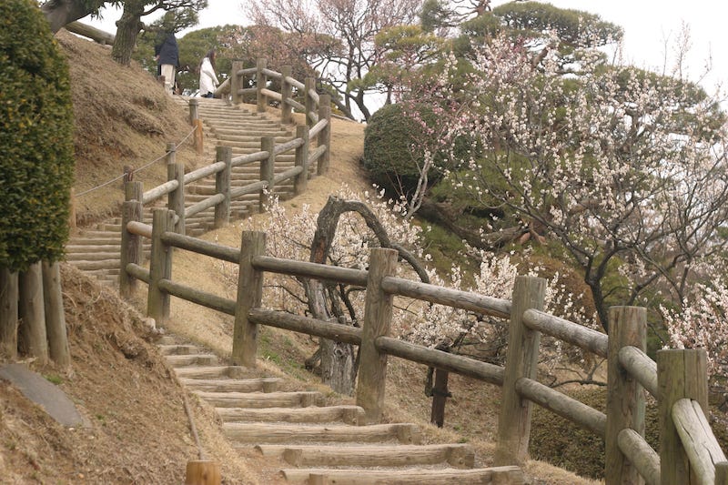 Mito’s Kairaku-en in Ibaraki Prefecture.