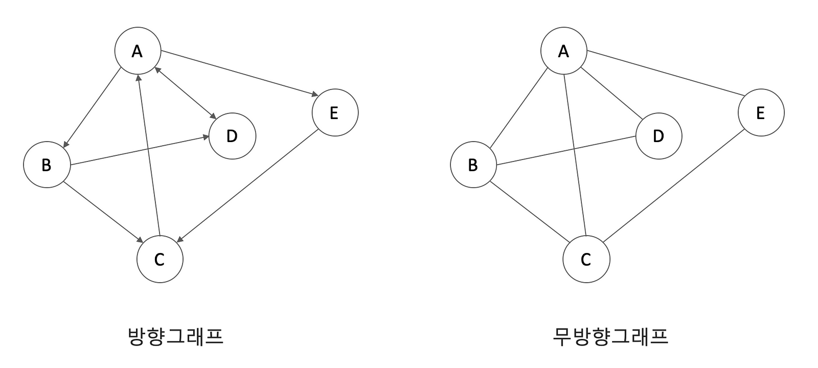 Graph 구조 종류