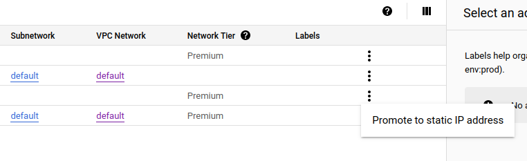 Screenshot showing how to promote IP address to static in the user interface