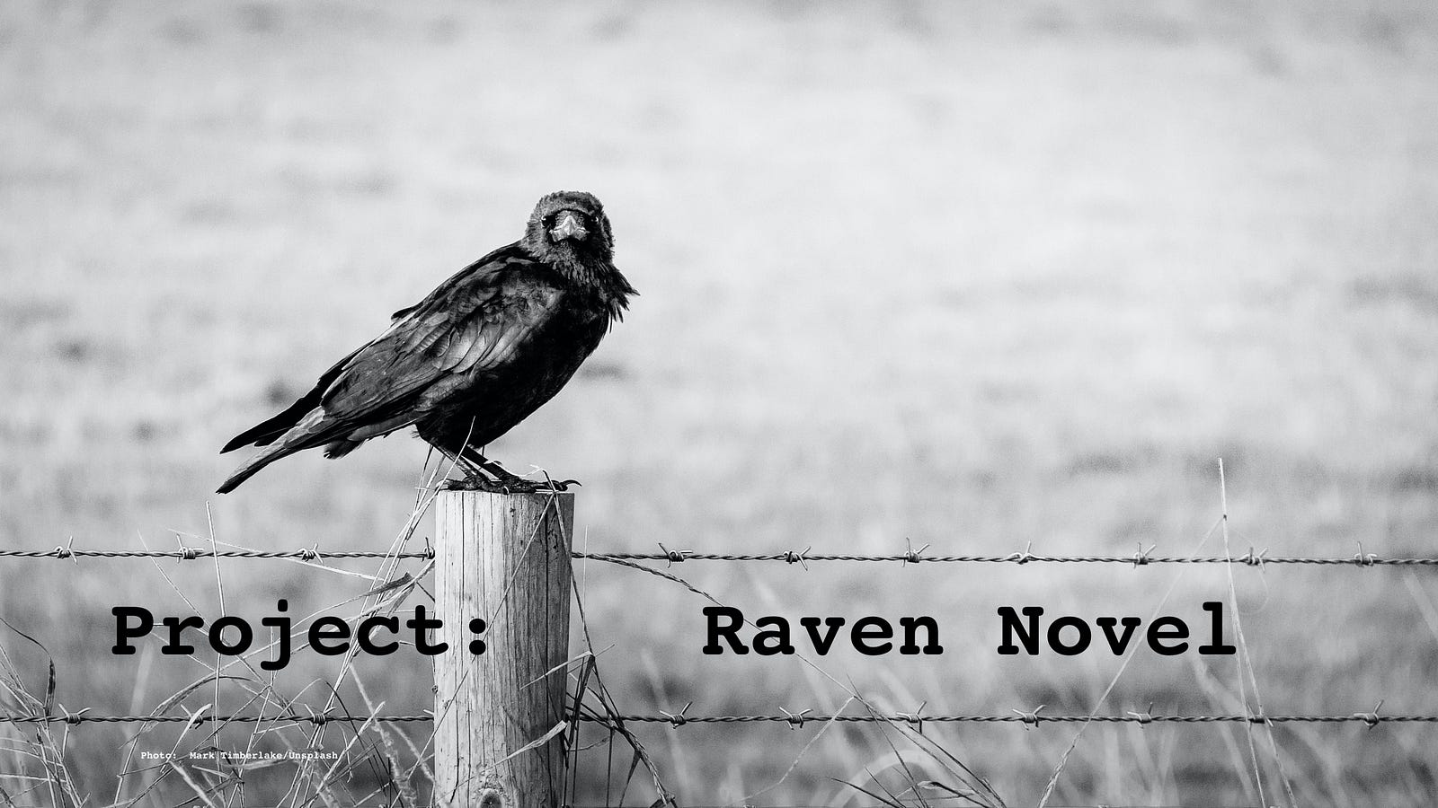 Project: Raven Novel by Jim Latham. Creative blogging a short story into a novel, one post at a time. The Project: Raven Novel logo.