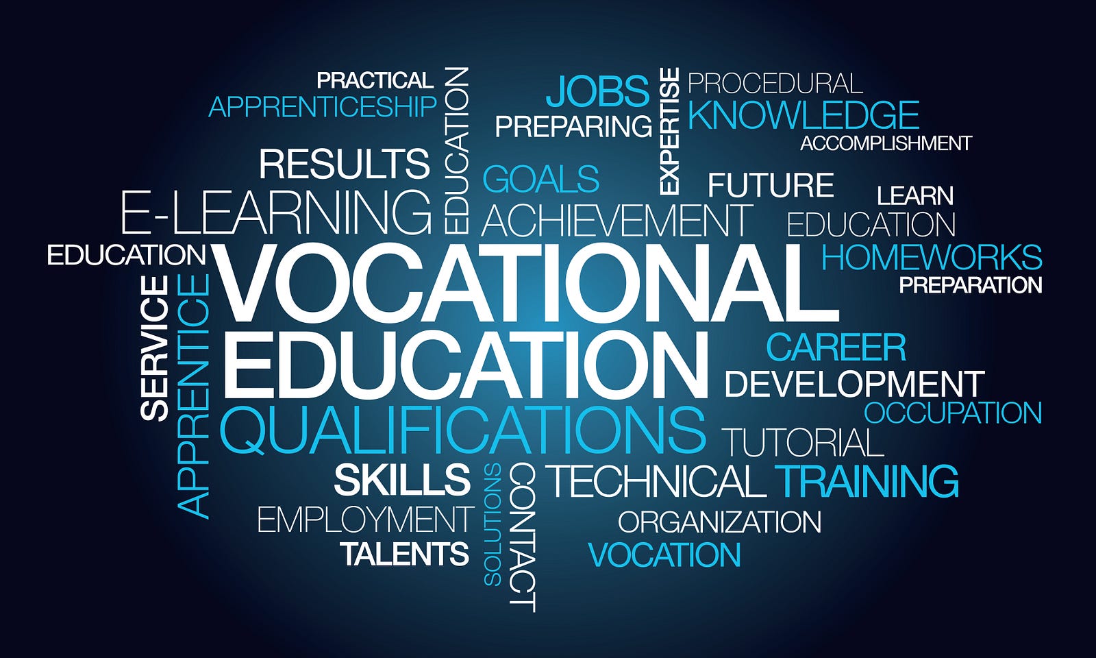 Why We Should Love Vocational Education Human Resources Management 