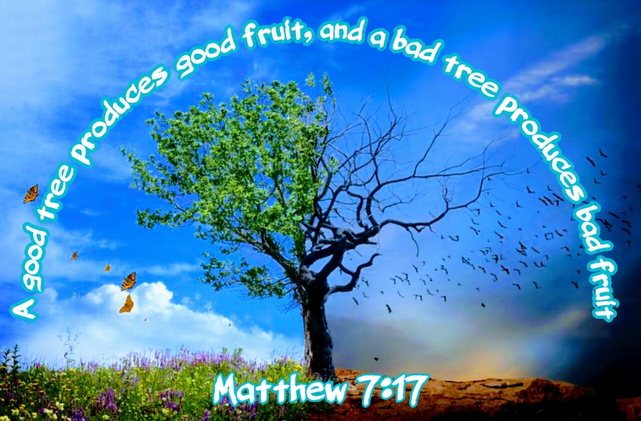 A good tree produces good fruit, and a bad tree produces bad fruit ...