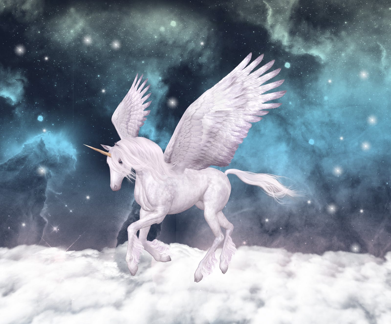 salesforce cloud 8 â â Unicorns Elephantsâ Ride Salesforce âWhen Medium salesforce cloud 8 â â Unicorns Elephantsâ Ride Salesforce âWhen Medium