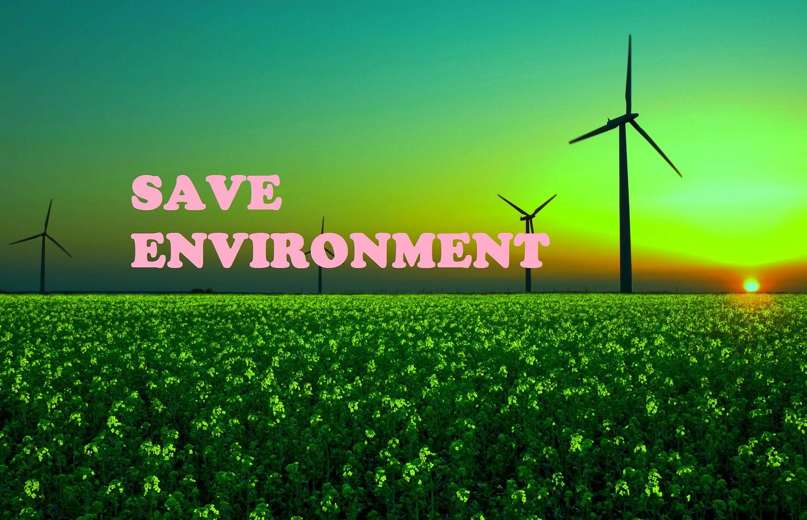 Saving the environment essay