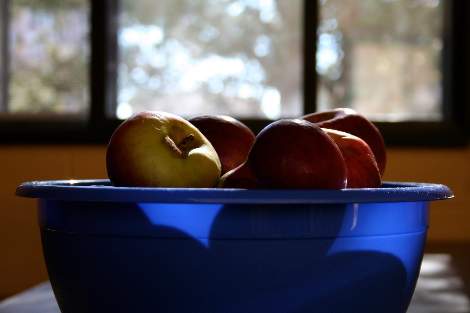 Photo of a bowl of apples in the parish hall of St. James Episcopal Church, New London, CT