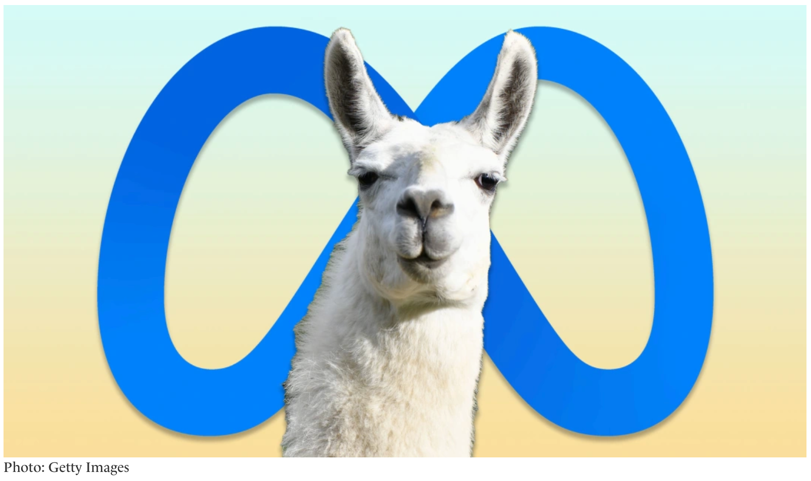 How to Chat with Llama3 Locally