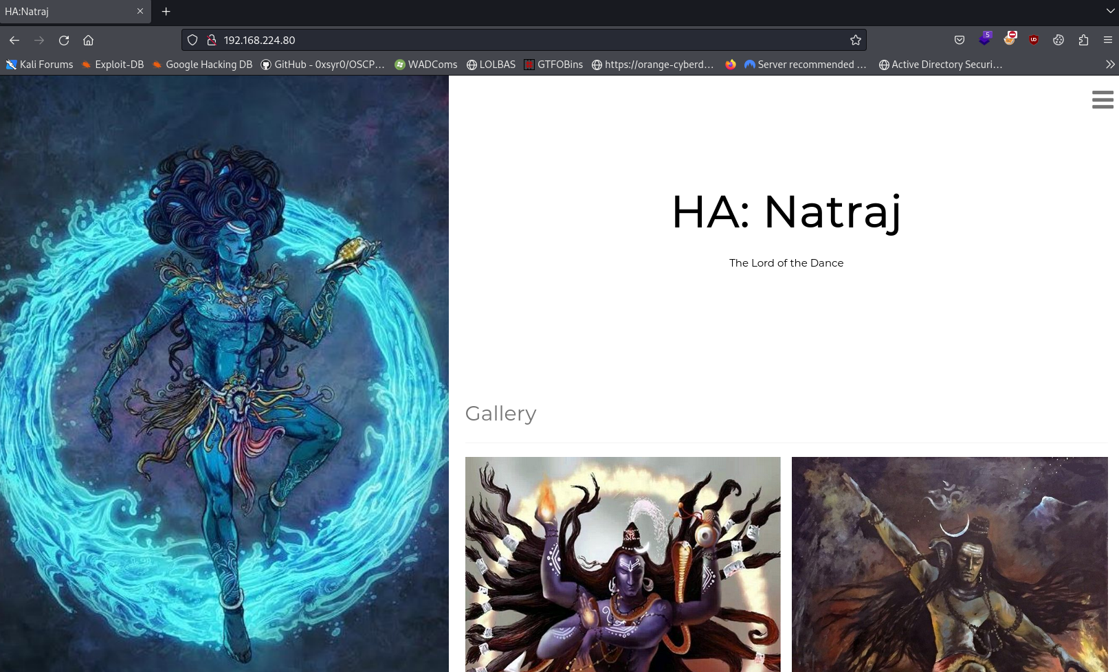 Offensive Security Proving Grounds (Ha-Natraj)
