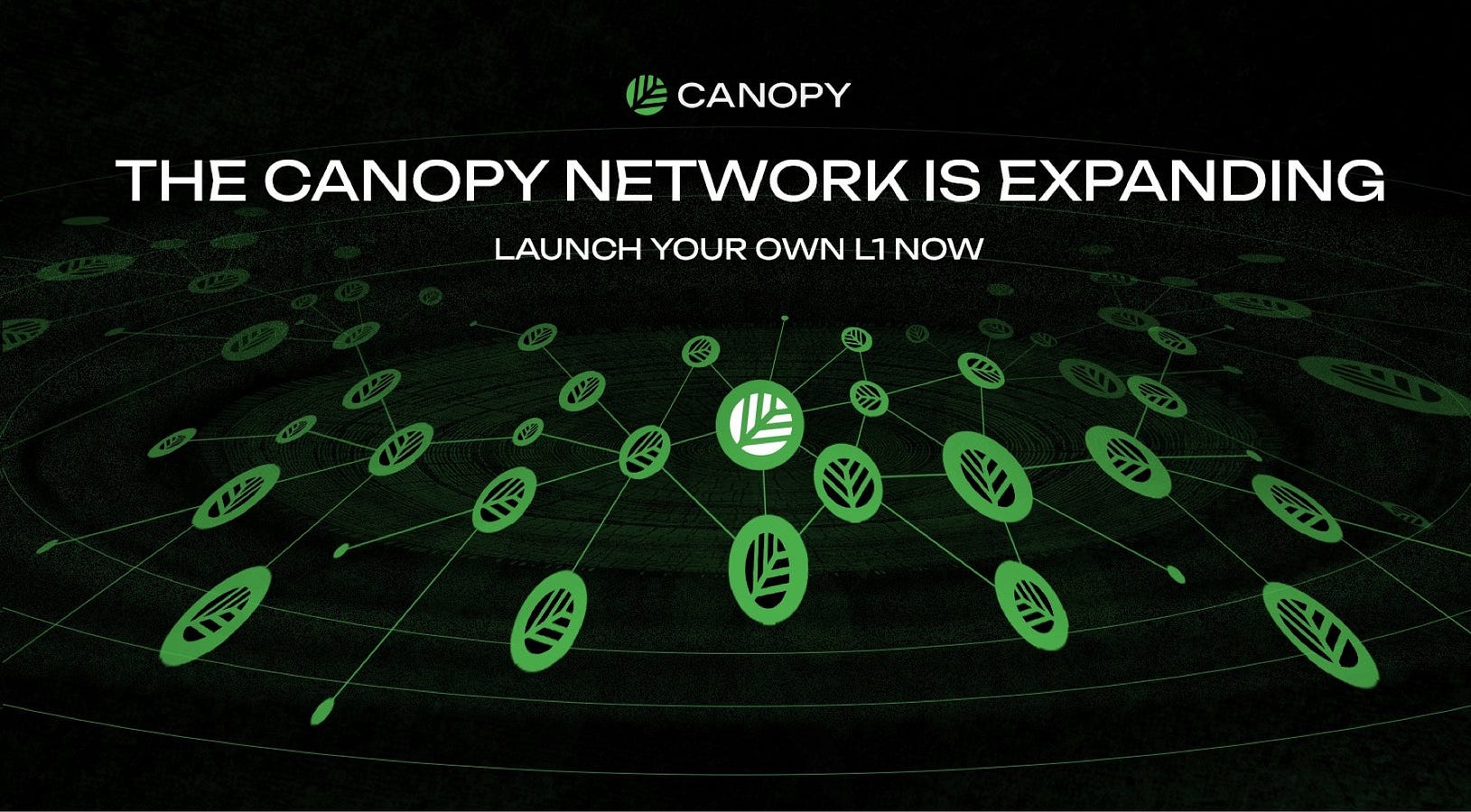 Why Canopy Network Eliminates Layers Where Other Blockchains Still Depend on Them