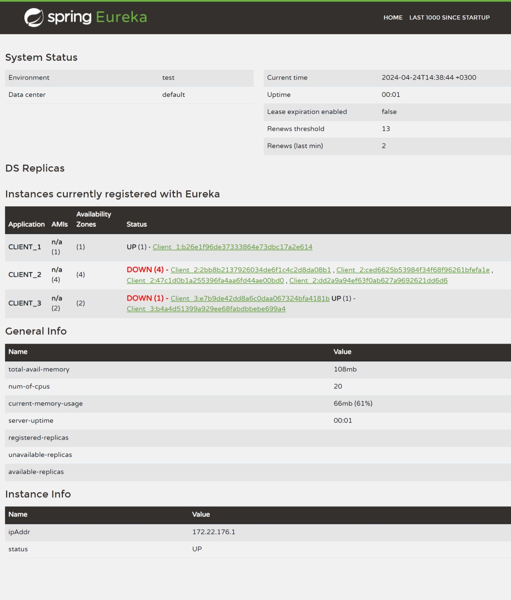 Spring Cloud Eureka Discovery Server & Client