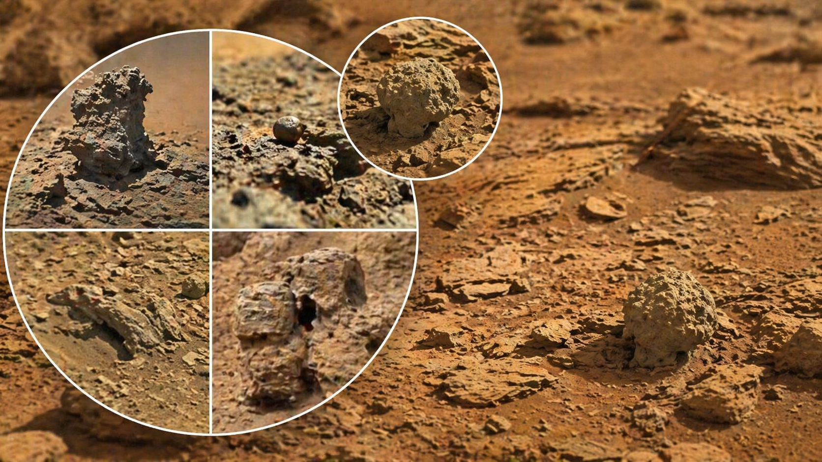 Did You Know… Mars Has “Insects”- (Or… maybe your brain is playing tri