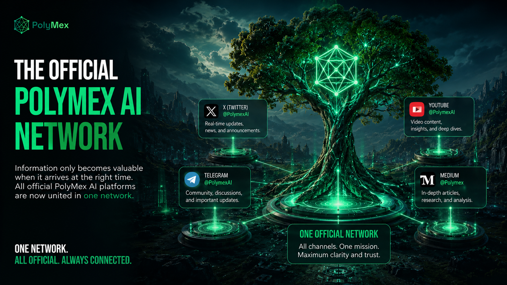 The Official PolyMex AI Network