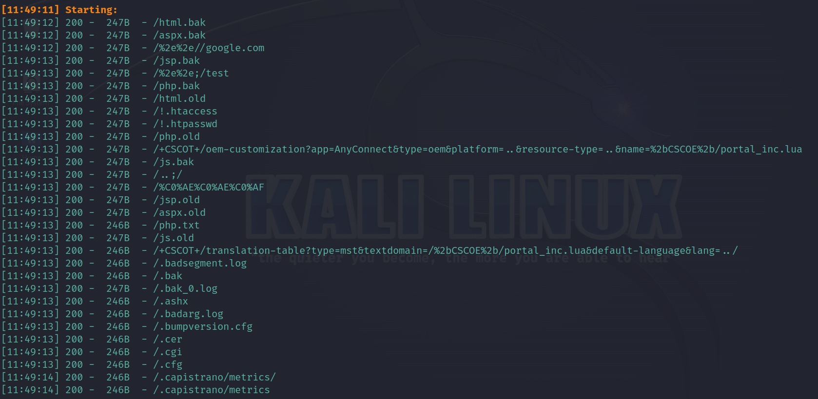 Dirsearch — Discover Hidden File and Web Directories | Ethical Hacking & Bug Bounty
