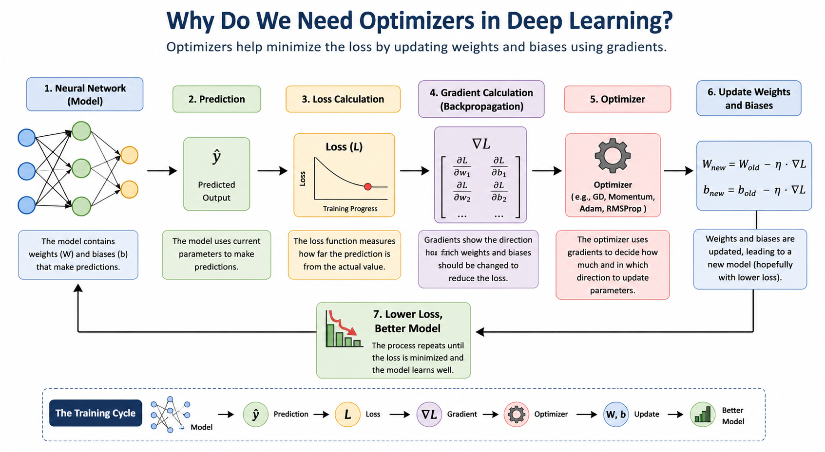 Optimizers in Deep Learning: From Gradient Descent to Adam