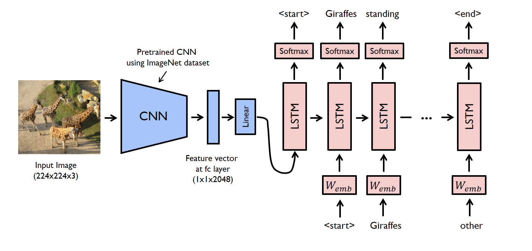 Crafting Visual Stories: Building an AI-Powered Image Caption Generator