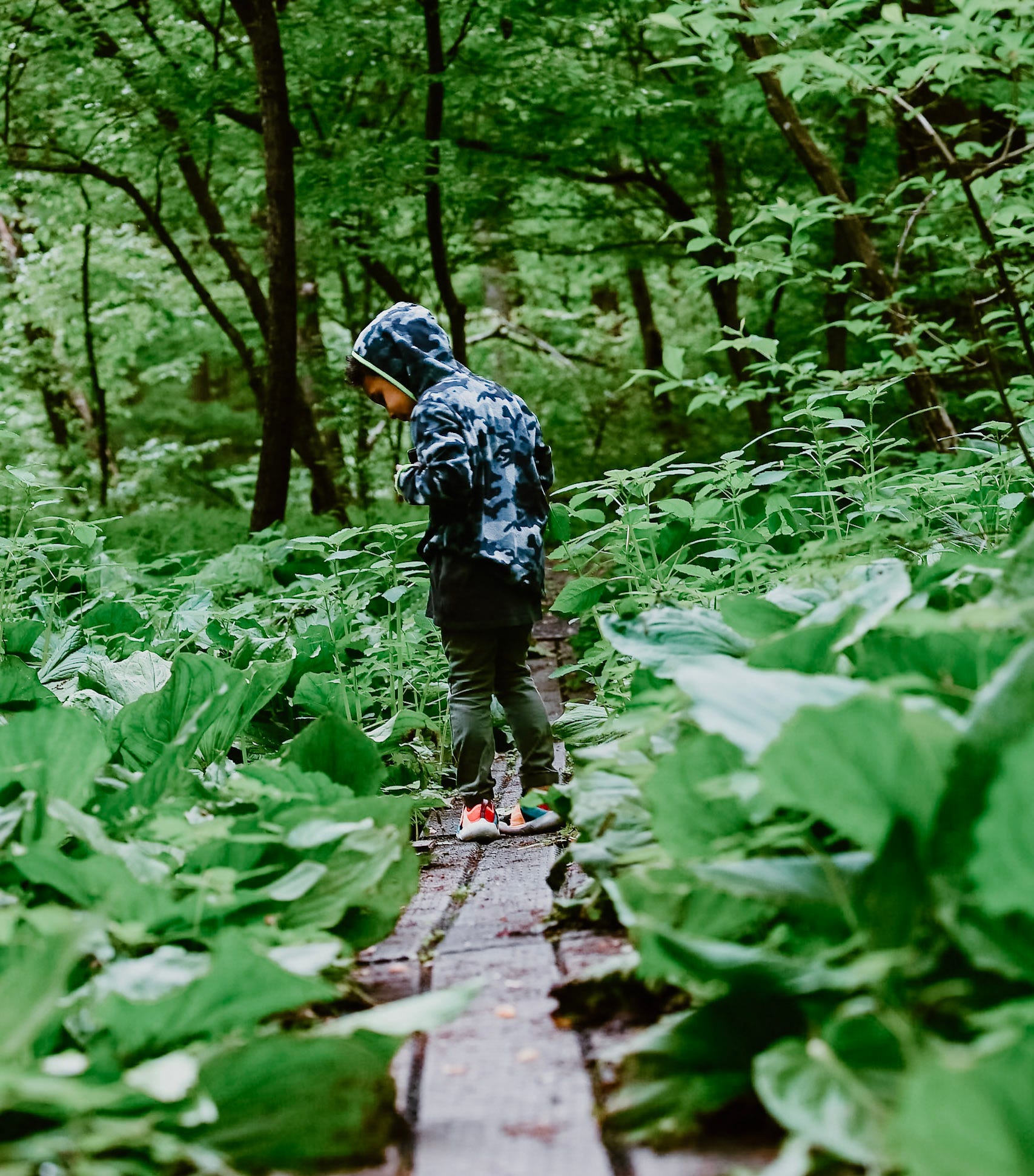 Why Unplugging Matters: The Case for Doing Absolutely Nothing