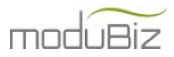 Modubiz logo