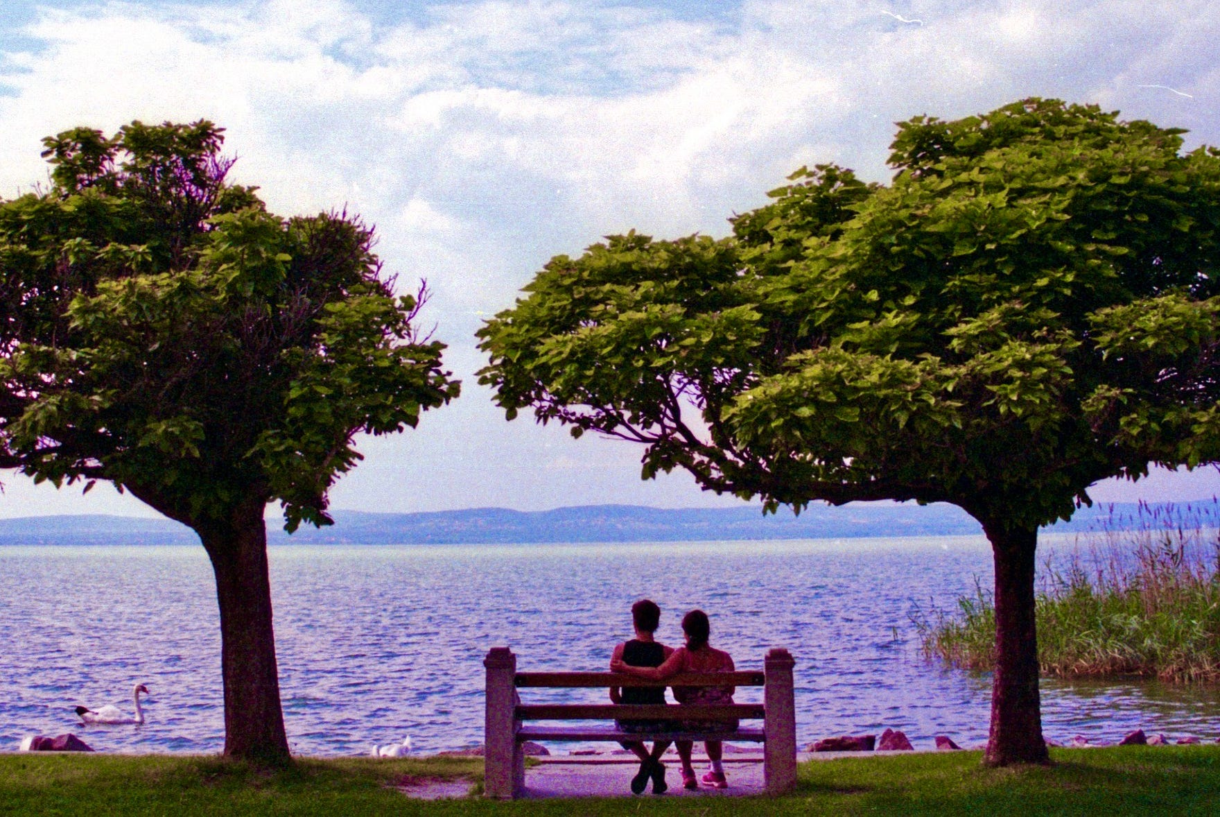 2 people sitting by a lake. Support. Empathy. Compassion, Barbara Cook blog.