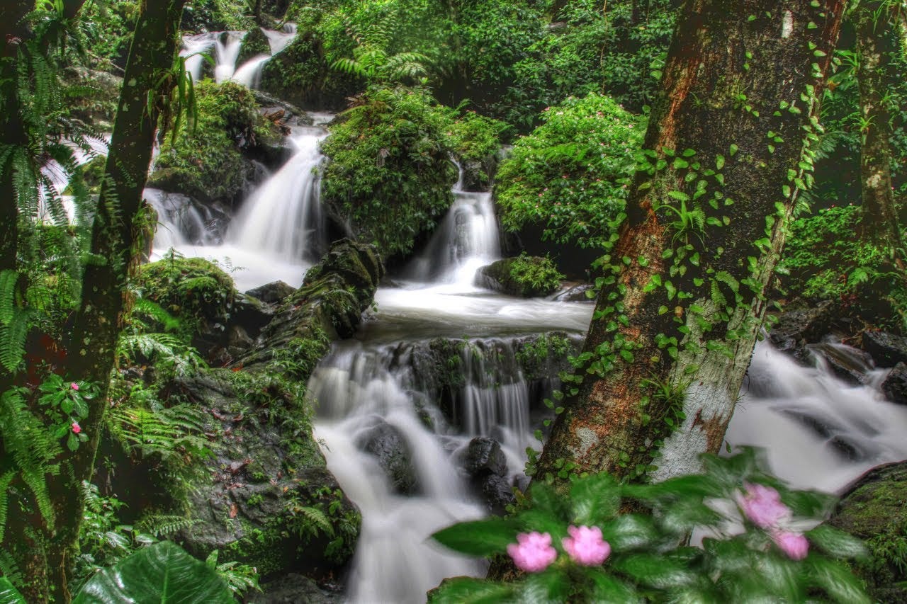 el yunque