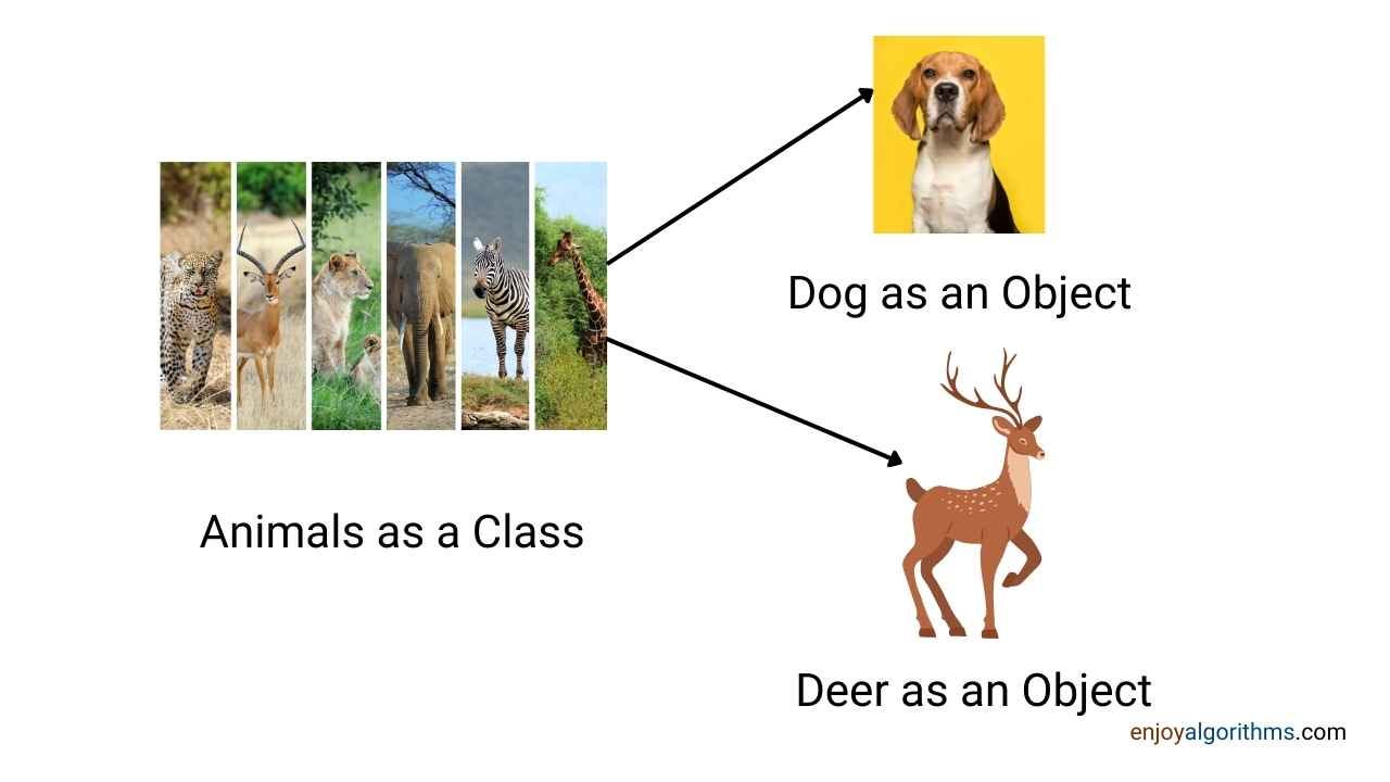 Class and Object relationship example