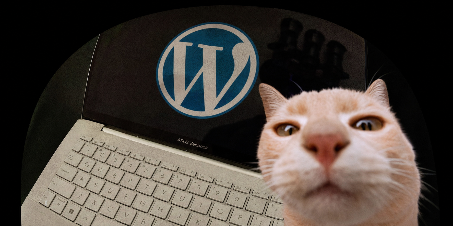 how wordpress actually gets hacked (and how to not be next)