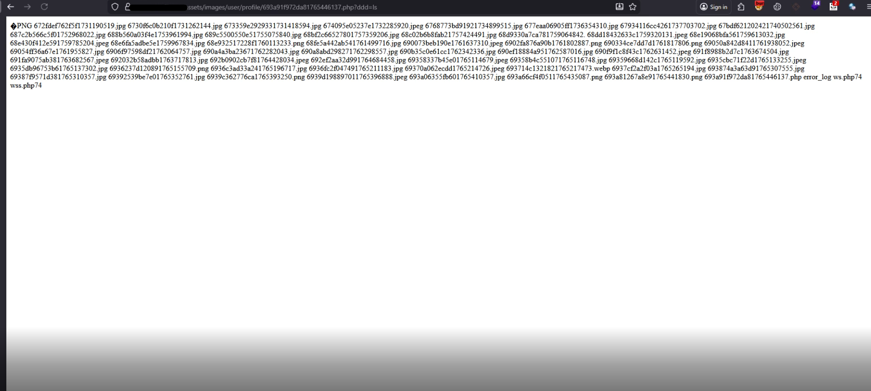 File Upload Bypass to Remote Code Execution (RCE) HEXAPHP