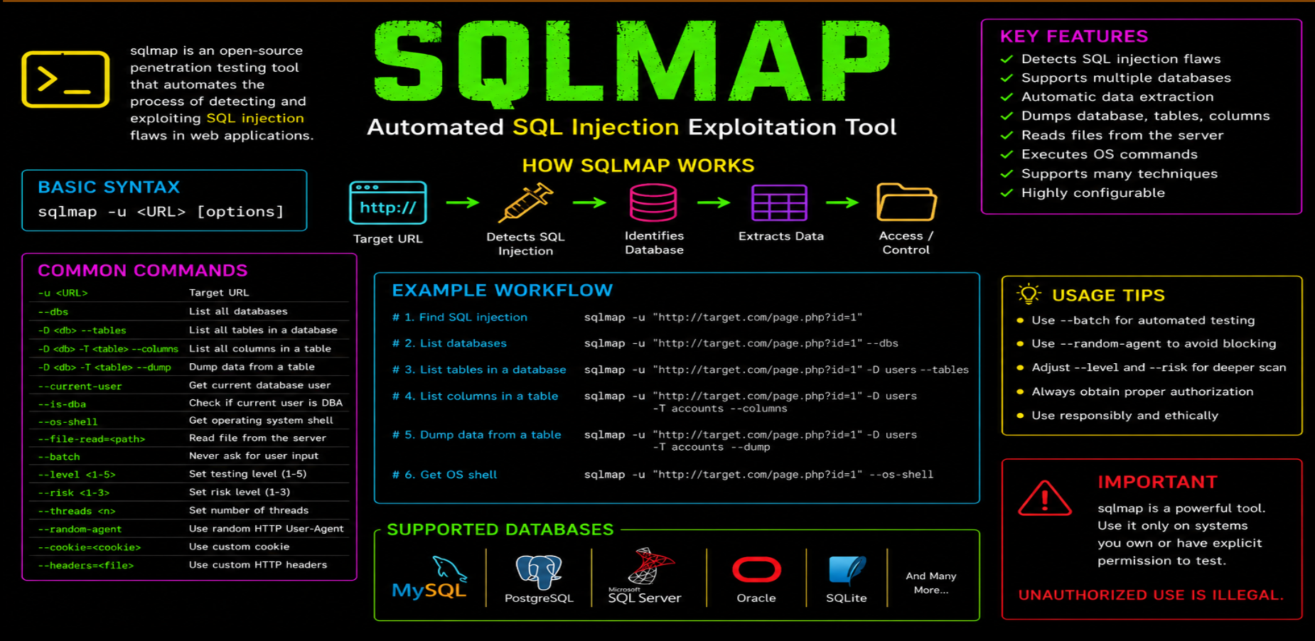 SQL Injection & Web Fuzzing with SQLMap and FFUF: A Practical Ethical Hacking Guide