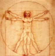 Inspired by Leonardo’s Vitruvian Man, that predict the midpoint of a person’s hips, the radius of a circle that circumscribes the entire person, and the angle of inclination of the line connecting the midpoints of the shoulder and hip.[3]