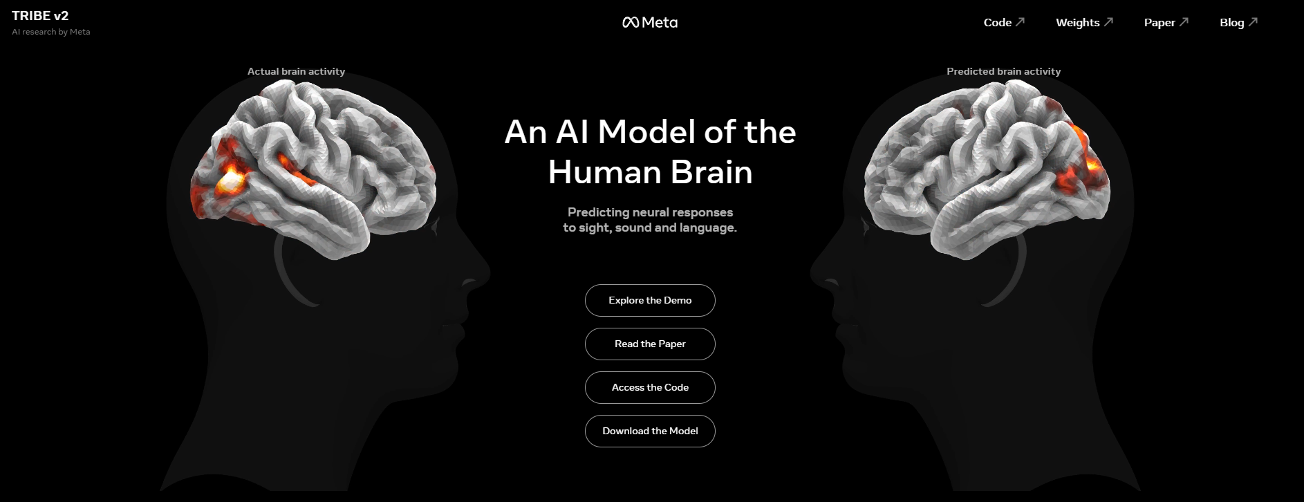 When the Algorithm Learns the Brain