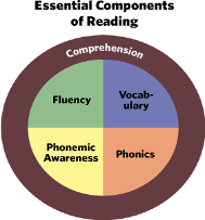 Essential Components of Reading