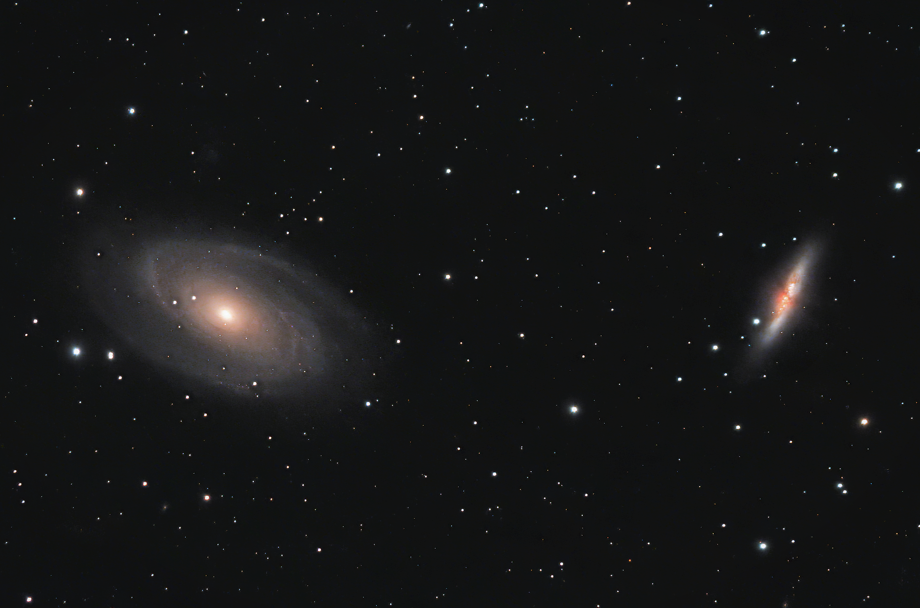 How Did a Galaxy end up Being a Cigar- The story of M82