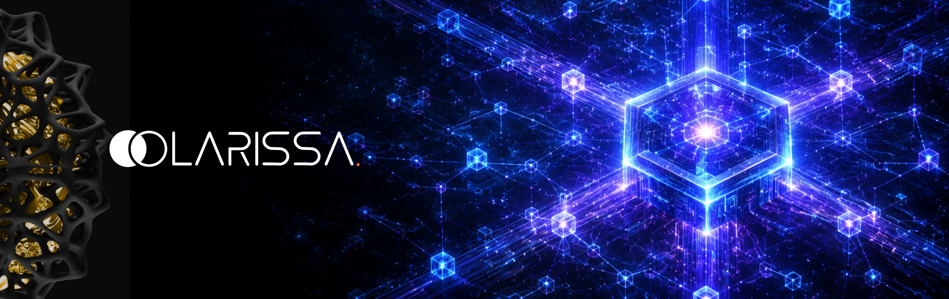 Everything You Need to Know About Larissa Network — The Blockchain That's Building the…